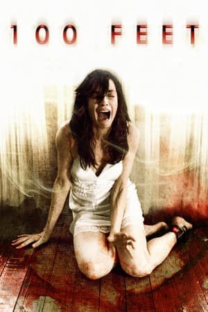 100 Feet 2008 WEB-DL Dual Audio - FlixBD