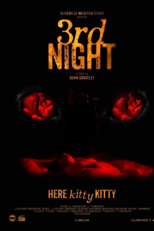 3rd Night 2017 WEB-DL Dual Audio - FlixBD