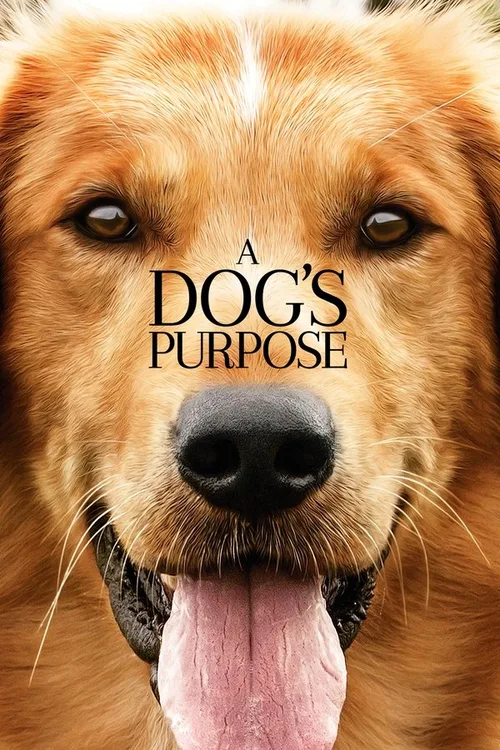 A Dog's Purpose 2017 BluRay English - FlixBD