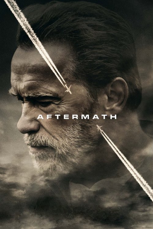 Aftermath 2017 WEB-DL Dual Audio - FlixBD
