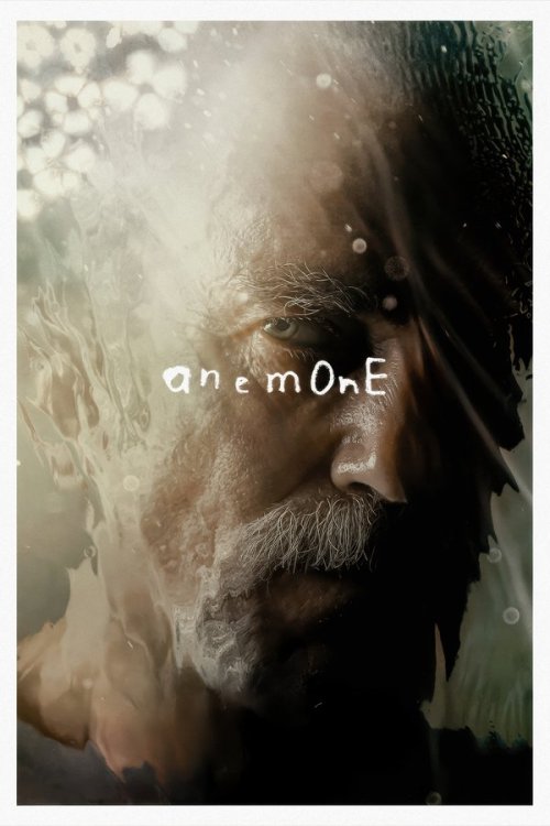 Anemone 2025 BluRay Dual Audio - FlixBD