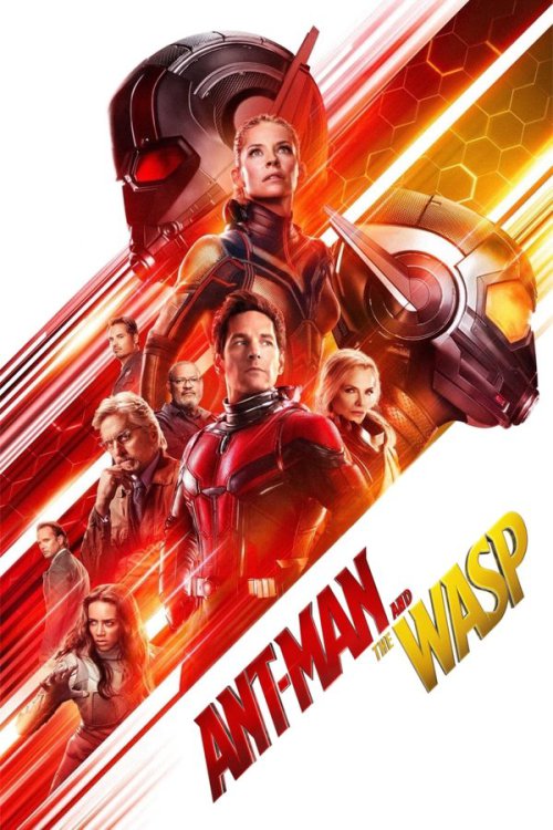 Ant-Man and the Wasp 2018 BluRay Hindi English - FlixBD