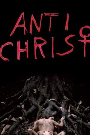 Antichrist 2009 WEB-DL Dual Audio [Hindi + English] - FlixBD