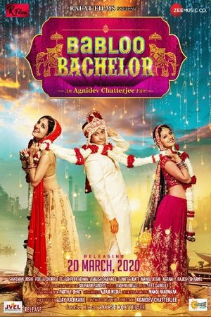 Babloo Bachelor 2021 WEB-DL Hindi - FlixBD