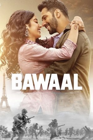 Bawaal 2023 WEB-DL Hindi - FlixBD