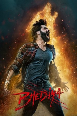 Bhediya 2022 WEB-DL Hindi - FlixBD