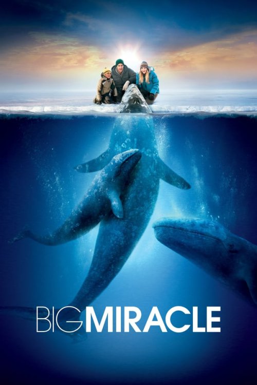 Big Miracle 2012 WEB-DL Dual Audio - FlixBD