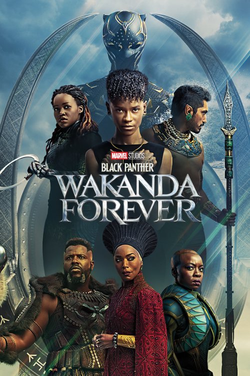 Black Panther: Wakanda Forever 2022 BluRay Hindi English - FlixBD