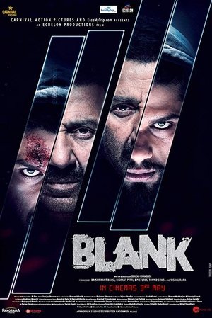 Blank 2019 WEB-DL Hindi - FlixBD