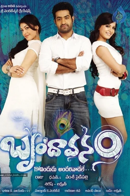 Brindavanam 2010 BluRay Hindi - FlixBD