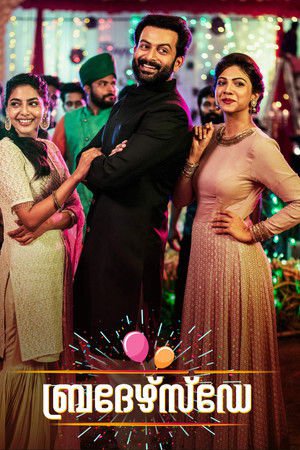 Brother’s Day 2019 WEB-DL Hindi Dubbed - FlixBD