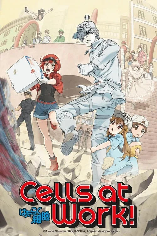 Cells at Work! (2018) Season 2 Hindi Dubbed Japanese Dual Audio Anime Series Download - FlixBD