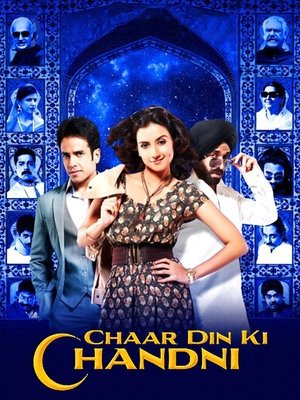Chaar Din Ki Chandni 2012 WEB-DL Hindi - FlixBD