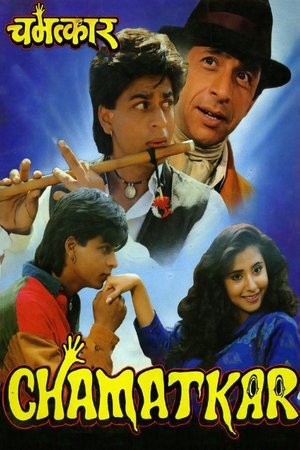 Chamatkar 1992 WEB-DL Hindi - FlixBD