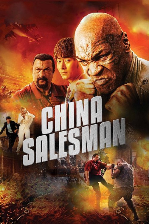 China Salesman 2017 WEB-DL Dual Audio - FlixBD
