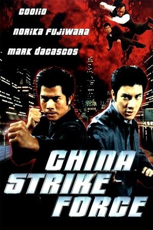 China Strike Force 2000 WEB-DL Dual Audio - FlixBD