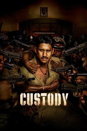 Custody 2023 WEB-DL Hindi Dubbed - FlixBD