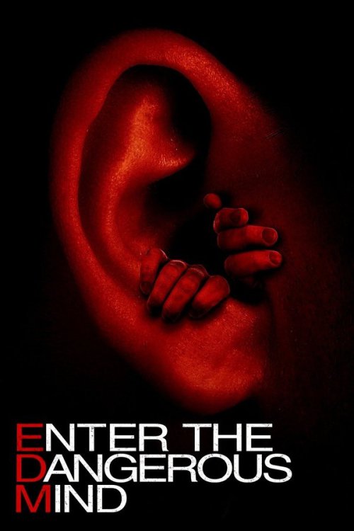 Enter the Dangerous Mind 2013 WEB-DL Hindi-English - FlixBD