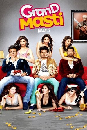 Grand Masti 2013 WEB-DL Hindi - FlixBD
