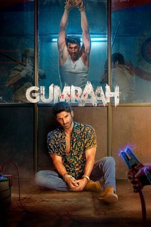 Gumraah 2023 WEB-DL Hindi - FlixBD