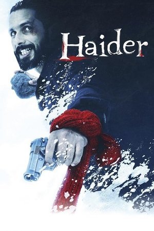 Haider 2014 WEB-DL Hindi - FlixBD