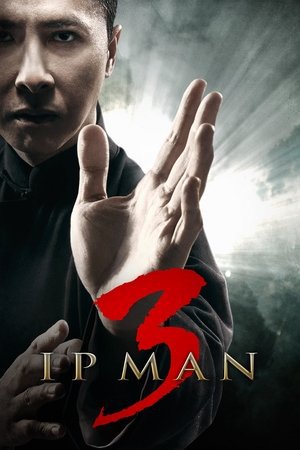 Ip Man 3 2015 WEB-DL Dual Audio [Hindi + English] - FlixBD
