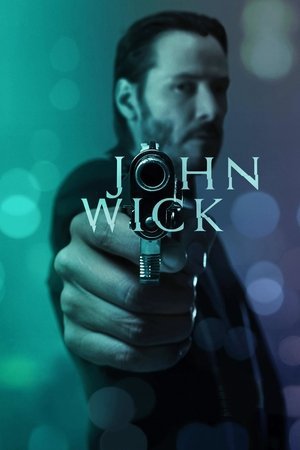 John Wick 2014 WEB-DL Dual Audio - FlixBD