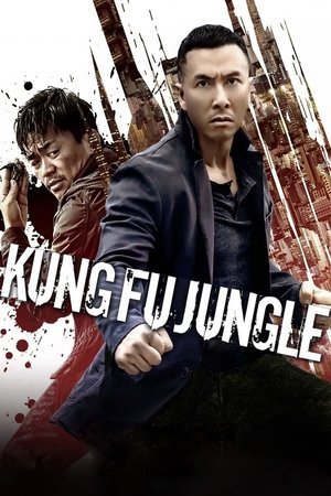Kung Fu Jungle 2014 WEB-DL Dual Audio - FlixBD