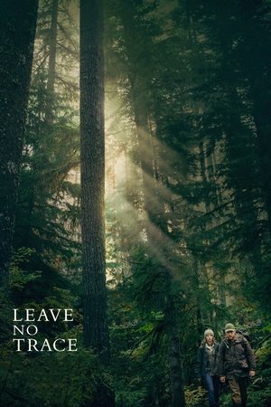 Leave No Trace 2018 WEB-DL Dual Audio [Hindi + English] - FlixBD