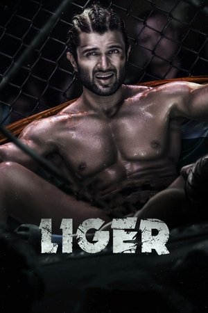 Liger 2022 WEB-DL Hindi - FlixBD