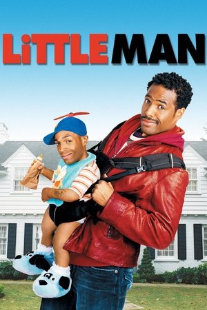 Little Man 2006 WEB-DL Dual Audio - FlixBD
