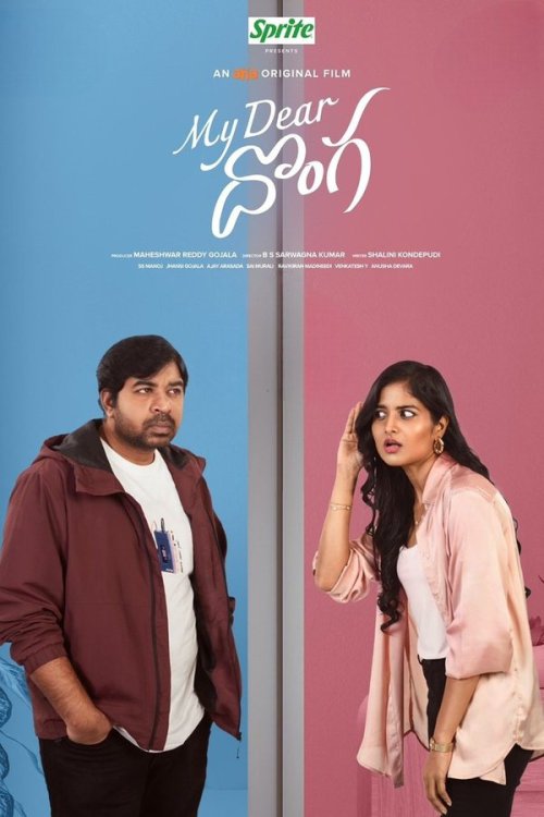 My Dear Donga 2024 WEB-DL Hindi-Telugu - FlixBD
