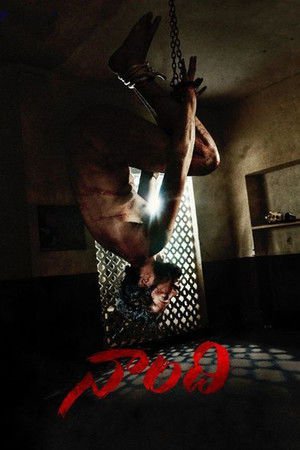 Naandhi 2021 WEB-DL Hindi - FlixBD