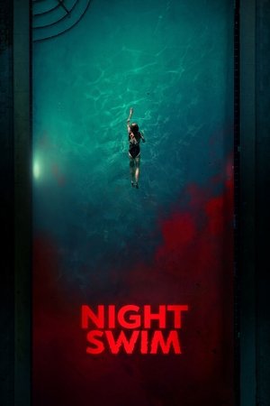 Night Swim 2024 WEB-DL Dual Audio - FlixBD