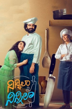 Ninnila Ninnila 2021 WEB-DL Hindi Dubbed - FlixBD