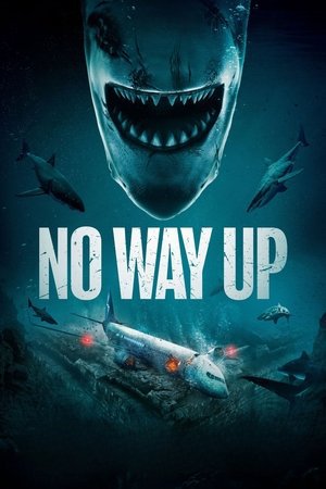 No Way Up 2024 WEB-DL Dual Audio - FlixBD