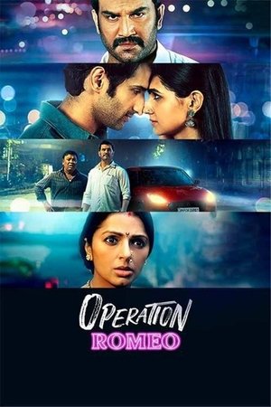 Operation Romeo 2022 WEB-DL Hindi - FlixBD