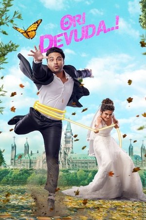 Ori Devuda..! 2022 WEB-DL Hindi - FlixBD