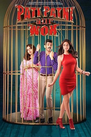 Pati Patni Aur Woh 2019 WEB-DL Hindi - FlixBD