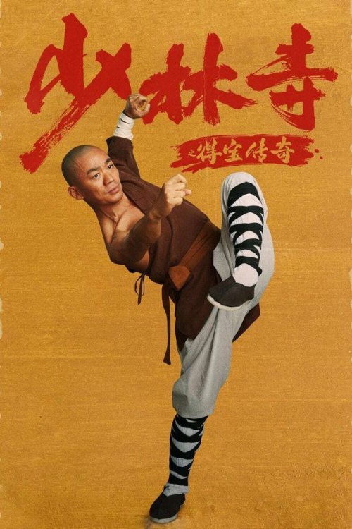 Rising Shaolin: The Protector 2021 WEB-DL Dual Audio - FlixBD