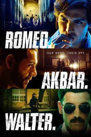 Romeo Akbar Walter 2019 WEB-DL Hindi - FlixBD