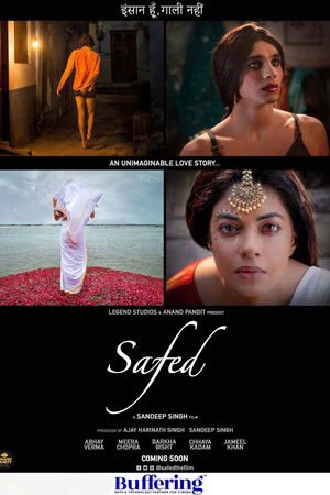 Safed 2023 WEB-DL Hindi - FlixBD