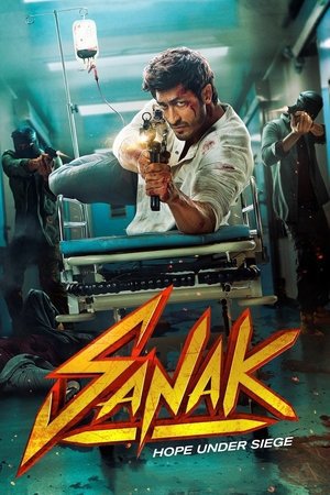Sanak 2021 WEB-DL Hindi - FlixBD