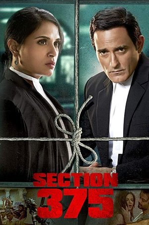 Section 375 2019 WEB-DL Hindi - FlixBD