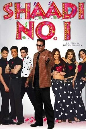 Shaadi No. 1 2005 WEB-DL Hindi - FlixBD