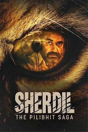 Sherdil: The Pilibhit Saga 2022 WEB-DL Hindi Dubbed - FlixBD