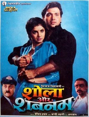 Shola Aur Shabnam 1992 WEB-DL Hindi - FlixBD