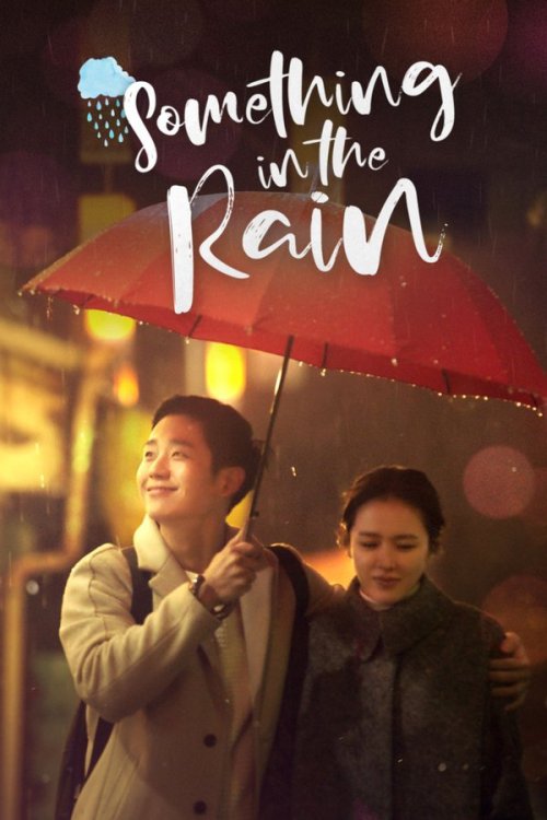 Something in the Rain 2018 Season 01 Complete WEB-DL Hindi-Korean - FlixBD