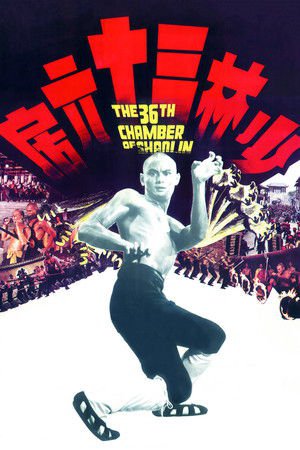 The 36th Chamber of Shaolin 1978 WEB-DL Dual Audio [Hindi + English] - FlixBD