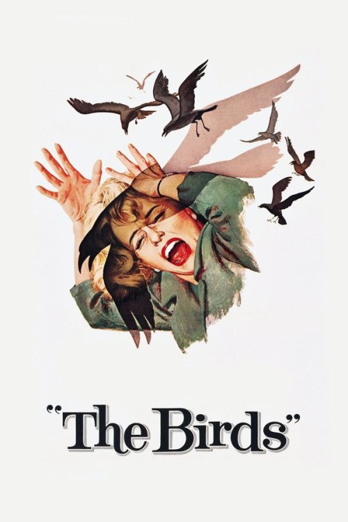 The Birds 1963 WEB-DL Dual Audio - FlixBD
